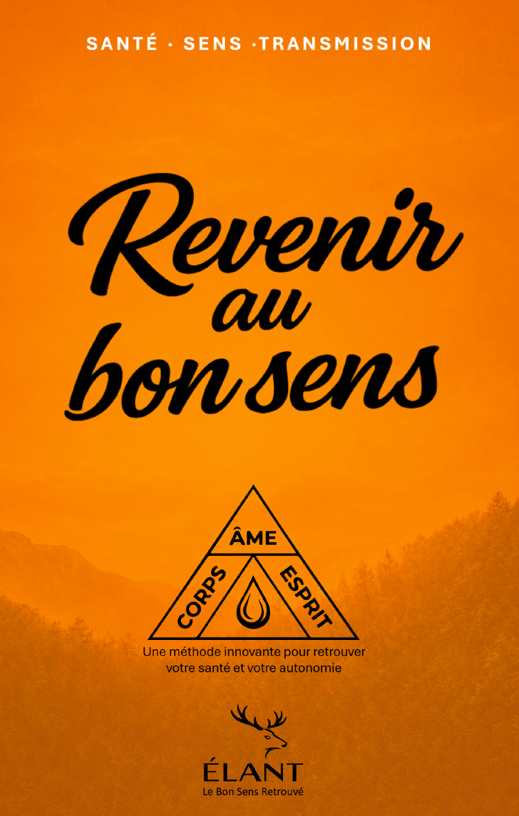 Revenir au Bon Sens — Christian Maisse